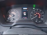 Miniaturka zdjęcia 7