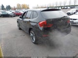 Miniaturka zdjęcia 3