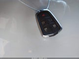 Miniaturka zdjęcia 11