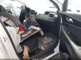 Miniaturka zdjęcia 5