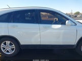 Honda Cr-V Ex-L 5J6RE3H78AL009700 photo