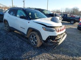Jeep Compass Trailhawk 4X4 3C4NJDDB8NT205369 снимка