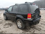Ford Escape Limited 1FMCU94185KC51512 снимка
