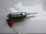Miniaturka zdjęcia 11