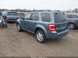 Ford Escape Xlt 1FMCU9DG3BKA96464 снимка