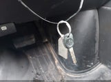 Miniaturka zdjęcia 11