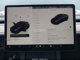 Miniaturka zdjęcia 7