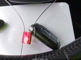 Miniaturka zdjęcia 11