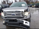 Ford F-150 Xlt 1FTFX1ET7EKG03196 снимка