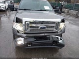 Ford F-150 Xlt 1FTFX1ET7EKG03196 снимка