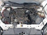 Miniaturka zdjęcia 10