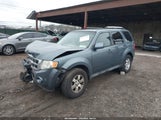 Ford Escape Limited 1FMCU9E75AKD04597 fotografie