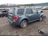 Ford Escape Limited 1FMCU9E75AKD04597 fotografie