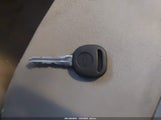 Miniaturka zdjęcia 11