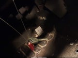 Miniaturka zdjęcia 11