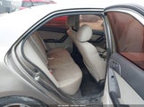 Miniaturka zdjęcia 8