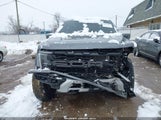 Ford F-150 Raptor 1FTFW1RG2RFC24623 photo