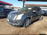 Cadillac Srx Performance Collection 3GYFNDE37DS541190 fotografie
