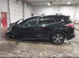 Toyota Rav4 Xle 2T3RFREV0HW565855 снимка
