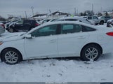 Hyundai Sonata 5NPE24AFXHH562061 снимка