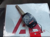 Miniaturka zdjęcia 11