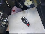 Miniaturka zdjęcia 11