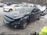 Miniaturka zdjęcia 2