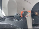 Miniaturka zdjęcia 11