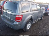 Miniaturka zdjęcia 4
