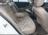 Miniaturka zdjęcia 8