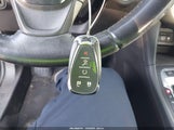 Miniaturka zdjęcia 11