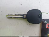Miniaturka zdjęcia 11