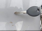 Miniaturka zdjęcia 11