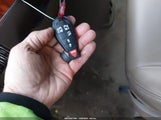 Miniaturka zdjęcia 11
