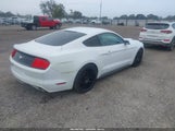 Ford Mustang Ecoboost 1FA6P8TH0G5224121 снимка
