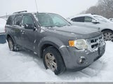 Ford Escape Xlt 1FMCU0D72BKB84076 снимка