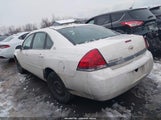 Chevrolet Impala Ls 2G1WB57N291206174 снимка