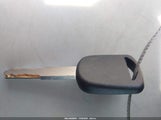 Miniaturka zdjęcia 11