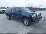 Toyota Tacoma Base V6 5TEUU42N78Z524585 photo