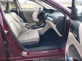 Honda Accord Lx 1HGCR2F34HA274597 снимка