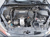 Miniaturka zdjęcia 10