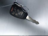 Miniaturka zdjęcia 11