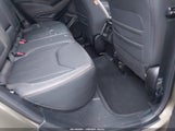 Miniaturka zdjęcia 8