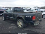 Dodge Dakota Slt 1D7HG42N23S355698 снимка