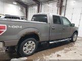 Ford F-150 Fx4/Harley-Davidson/King Ranch/Lariat/Platinum/Xl/Xlt 1FTFW1EV9AFA75250 снимка