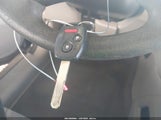 Miniaturka zdjęcia 11
