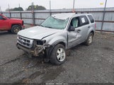 Ford Escape Xlt 1FMCU0DG8BKA73838 снимка