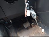 Miniaturka zdjęcia 11