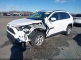 Toyota Rav4 Xle JTMP1RFV6KD041070 снимка