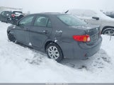 Toyota Corolla 1NXBU4EE1AZ327442 снимка